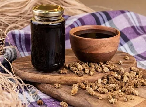 خرید و قیمت شیره توت ارگانیک + فروش صادراتی