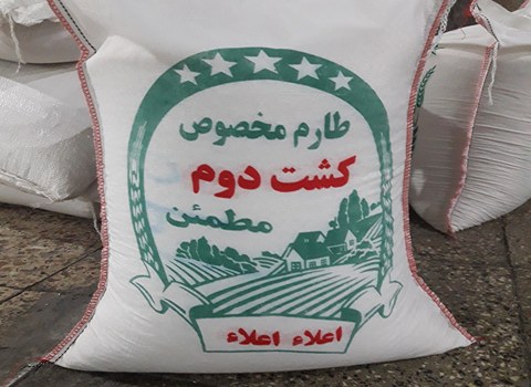 قیمت خرید برنج کشت دوم طارم عمده به صرفه و ارزان