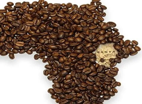 خرید دان قهوه عربی + قیمت فروش استثنایی