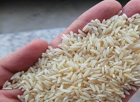 فروش برنج دودی فریدونکنار + قیمت خرید به صرفه