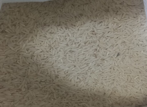 خرید و فروش برنج شاهرودی با شرایط فوق العاده