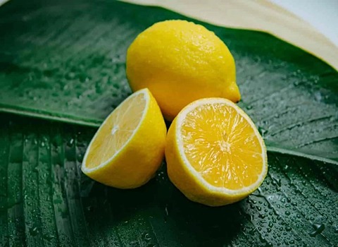 قیمت خرید لیمو ترش بدون هسته + فروش ویژه