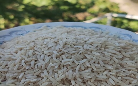 خرید و قیمت برنج ایرانی صدری + فروش عمده