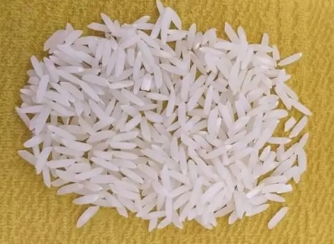قیمت برنج شیرودی ایران + خرید باور نکردنی
