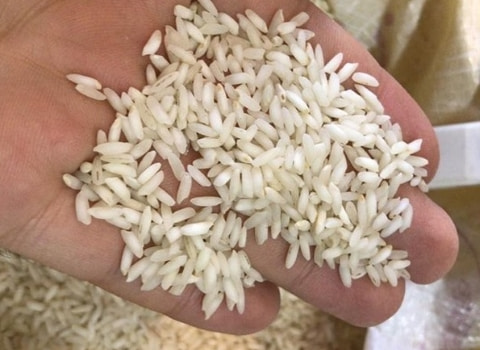 قیمت خرید برنج عنبربو ایران + فروش ویژه