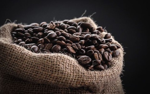 خرید و فروش دانه قهوه عربیکا با شرایط فوق العاده