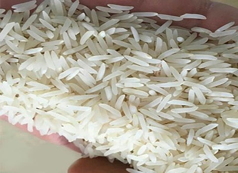 قیمت برنج طارم فجر درجه یک + خرید باور نکردنی