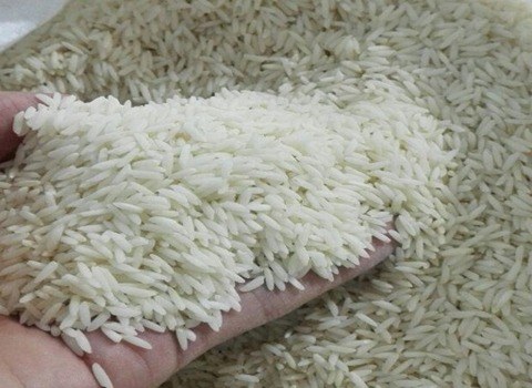 خرید و قیمت برنج دم سیاه کشت دوم + فروش عمده