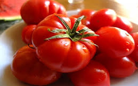 خرید گوجه فرنگی جلفا + قیمت فروش استثنایی