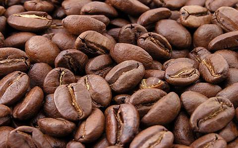 قیمت خرید دانه قهوه خارجی با فروش عمده