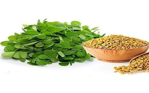 خرید و قیمت داروی گیاهی شنبلیله + فروش عمده