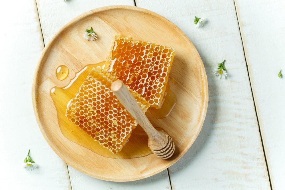 خرید و قیمت عسل شمال ايران + فروش عمده