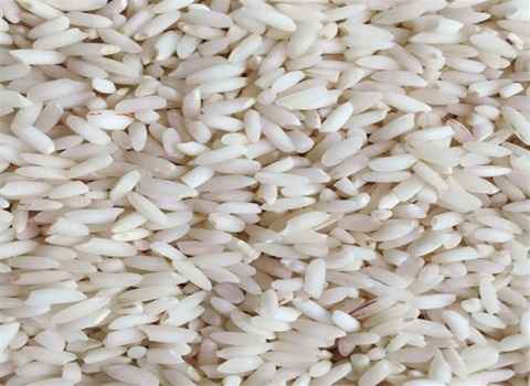 خرید برنج عنبر بو ایده آل + قیمت فروش استثنایی