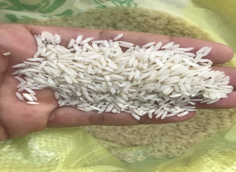 خرید و قیمت برنج عنبر بو شمال + فروش صادراتی