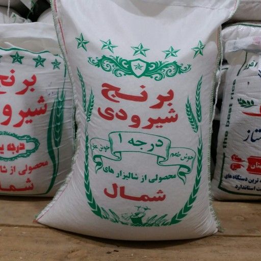قیمت برنج شیرودی خوشه شمال  + خرید باور نکردنی