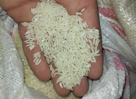 خرید و فروش برنج معطر ایرانی با شرایط فوق العاده