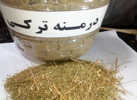 خرید گیاه دارویی درمنه کوهی + قیمت فروش استثنایی