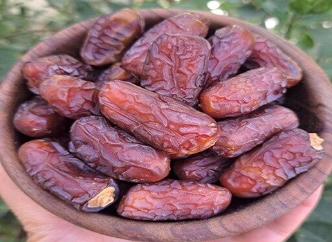 قیمت خرید خرمای پیارم اصفهان + فروش ویژه