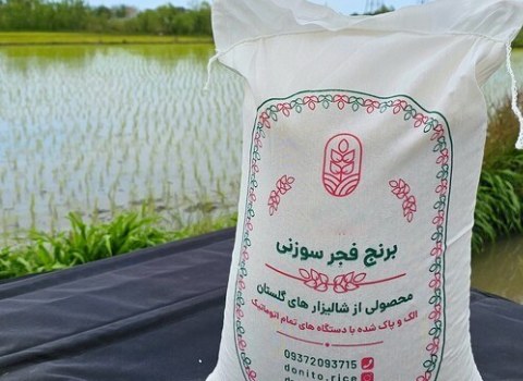 خرید برنج فجر سوزنی گلستان + قیمت فروش استثنایی