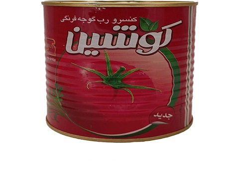 خرید رب گوجه کوشین + قیمت فروش استثنایی