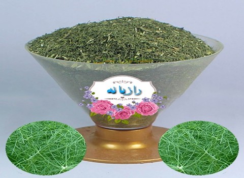 خرید و قیمت برگ رازیانه کوهی + فروش عمده