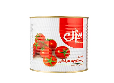 خرید و قیمت رب گوجه بیژن + فروش صادراتی