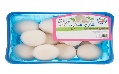 خرید و قیمت قارچ ملارد مشهد + فروش صادراتی