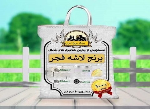 خرید برنج لاشه فجر + قیمت فروش استثنایی