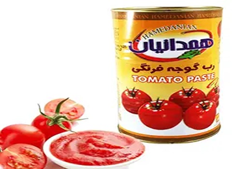 قیمت رب گوجه فرنگی 800 گرمی همدانیان + خرید باور نکردنی