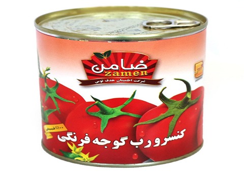 خرید و قیمت رب گوجه ضامن + فروش عمده