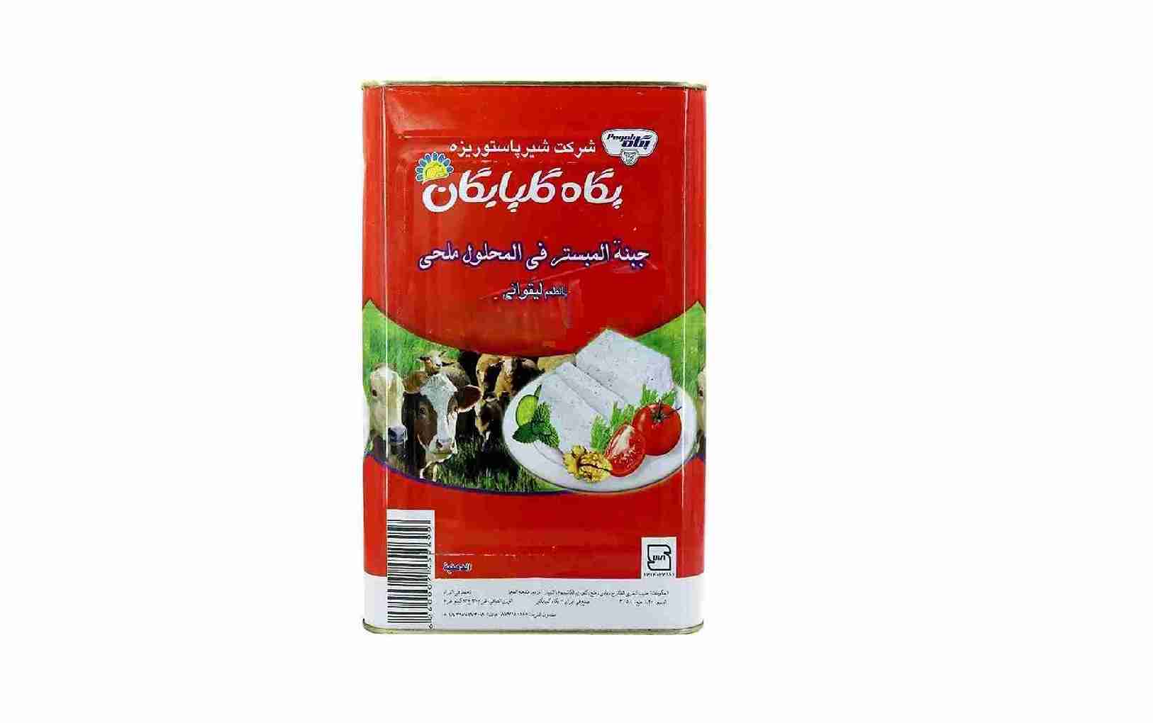 قیمت خرید پنیر گوسفندی گلپایگان + فروش ویژه