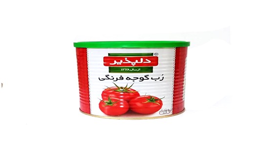 قیمت خرید رب قوطی دلپذیر + فروش ویژه