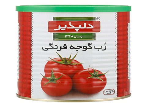 قیمت خرید رب گوجه دلپذیر + فروش ویژه