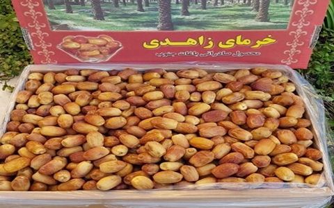 قیمت خرید خرما زاهدی تازه عمده به صرفه و ارزان