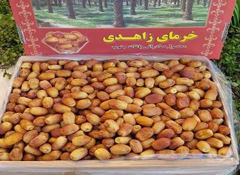 فروش خرما زاهدی درجه یک + قیمت خرید به صرفه