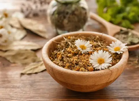 خرید گیاه دارویی بابونه + قیمت فروش استثنایی