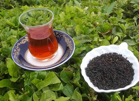 خرید و قیمت چای سیاه ارل گری + فروش عمده