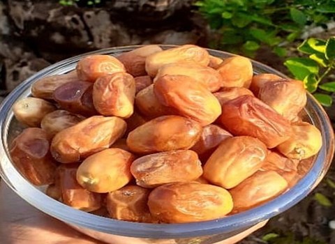 قیمت خرید خرما زاهدی درجه یک + فروش ویژه