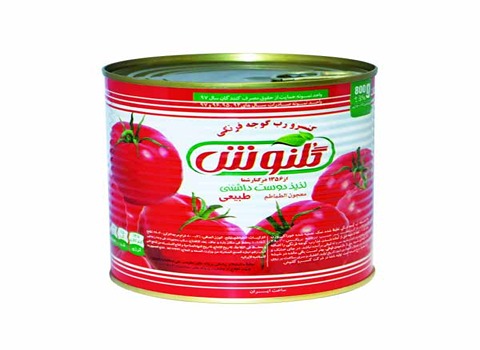 قیمت خرید رب گوجه فرنگی گلنوش با فروش عمده