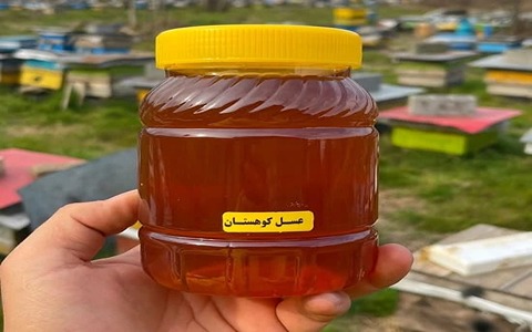 خرید و قیمت عسل طبیعی کوهستانی + فروش عمده