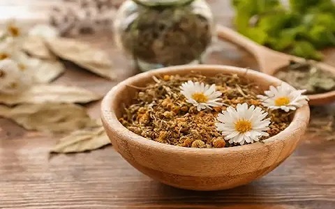 قیمت خرید گیاه دارویی بابونه + فروش ویژه