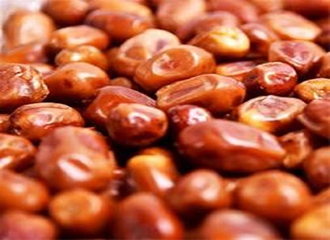 خرید و قیمت خرما زاهدی شیراز + فروش صادراتی