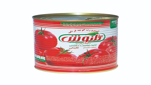 فروش رب گوجه گلنوش + قیمت خرید به صرفه