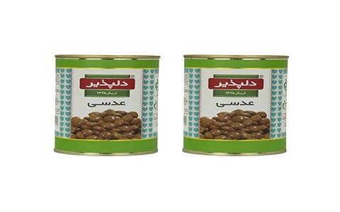 فروش کنسرو عدسی دلپذیر + قیمت خرید به صرفه