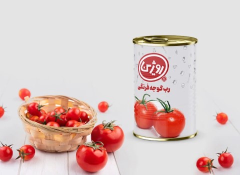 قیمت خرید رب گوجه روژین با فروش عمده