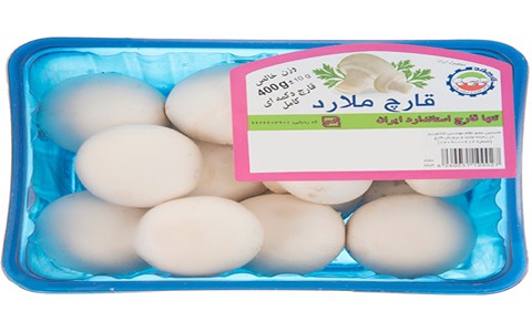 قیمت خرید قارچ ملارد ۴۰۰ گرمی + فروش ویژه