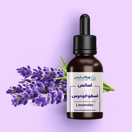 خرید اسانس گیاهی اسطوخودوس + قیمت فروش استثنایی