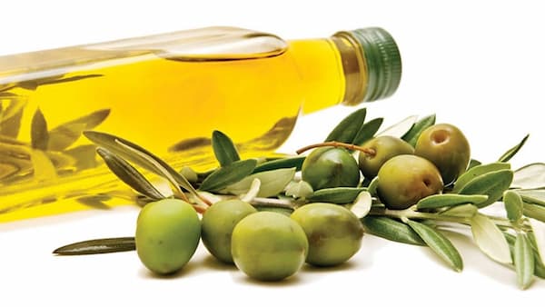 قیمت خرید روغن زیتون ارگانیک + فروش ویژه