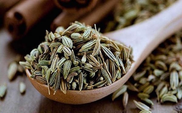 خرید گیاه دارویی رازیانه + قیمت فروش استثنایی