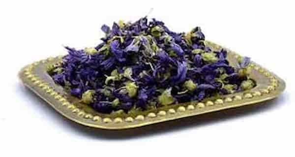 فروش گیاه دارویی پنیرک + قیمت خرید به صرفه
